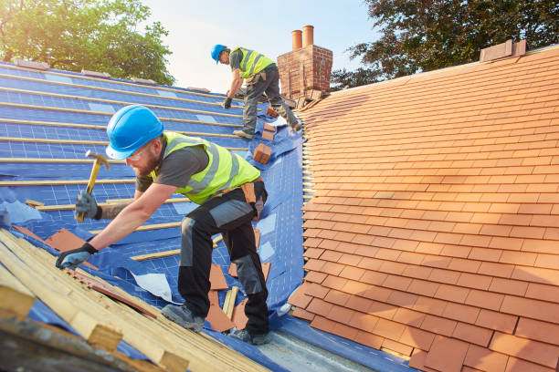 Best Cold Roofs  in Scanlon, MN